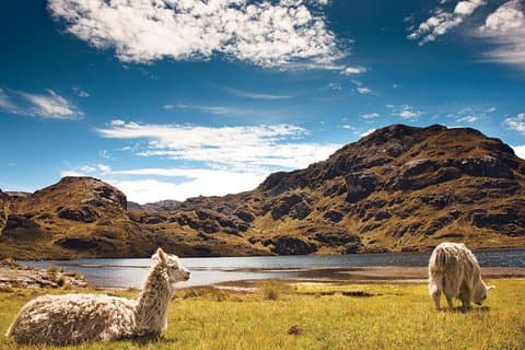 Private Full Day Fishing Tour from Cuenca