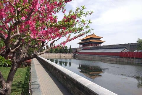 Tour en grupos pequeños: Ciudad Prohibida y Muro Mutianyu y auténtico almuerzo chino