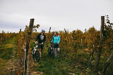 Stari Slankamen Bike Tour