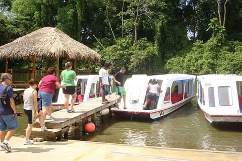 Canal Tortuguero y Parque Cahuita. Excursión en tierra desde Limón