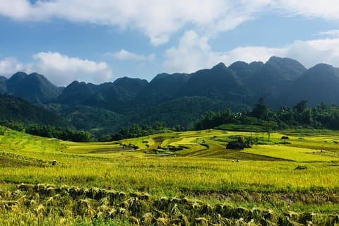 Explorez Mai Chau - Pu Luong - Ninh Binh 4 jours / 3 nuits