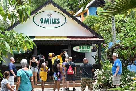 Dagstur till Bob Marleys Nine Mile och Dunns River Falls från Falmouth