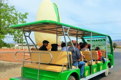 PistachioLand Farm Tour