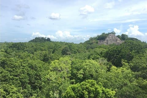 Aventure à Calakmul au départ de Campeche