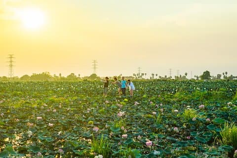Old Siem Reap Sunset & Food Tour em Vantage Jeep