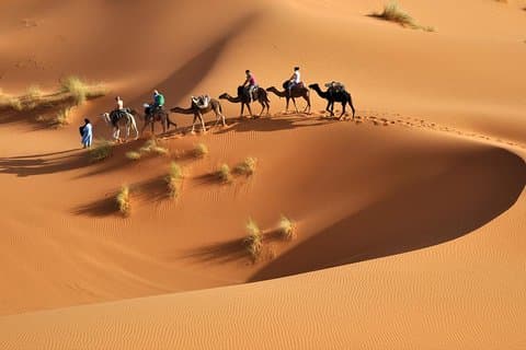 4 - Excursion d'une journée dans le désert de Tanger à Marrakech via Fès & Chefchaouen