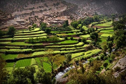 Private excursion to the Ourika Valley from Marrakech