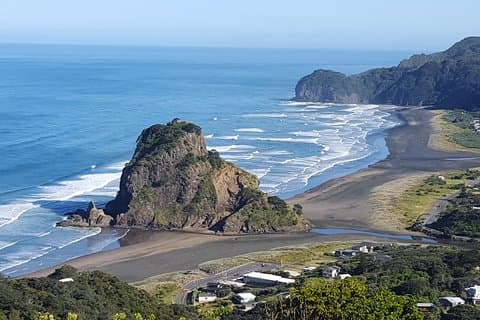 Nachmittags Piha Beach und Regenwaldtour ab Auckland