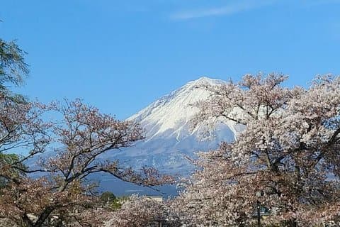 Visite en taxi affrété du mont Fuji