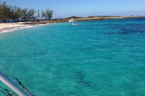 Bluefinn242 Half Day Snorkeling Tour in the Bahamas