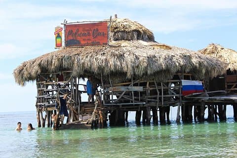 YS Falls, Black River Safari och Floyd's Pelican Bar-dagstur (Transport)
