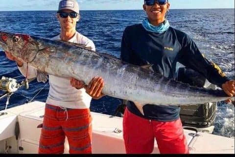 Bluefinn242半日深海/ライトタックルフィッシングチャーター