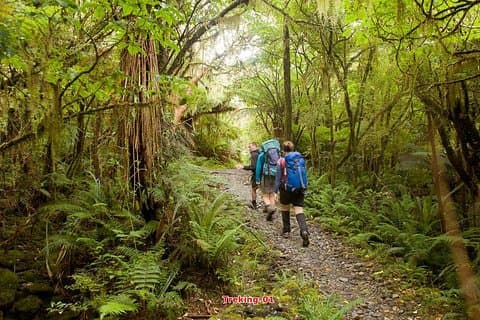 Vandring Trekking & Temple Stay 12days 11nights