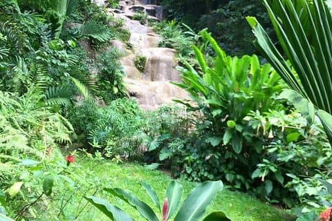 Visite privée combinée des chutes de Konoko et de la rivière Dunn au départ d'Ocho Rios