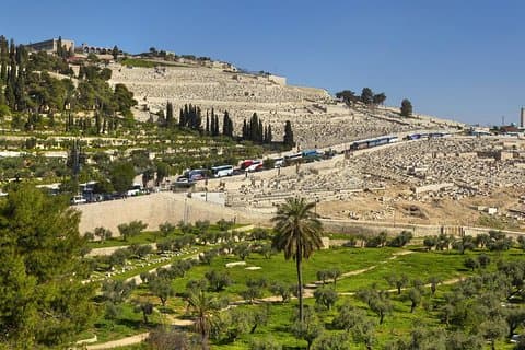 Halvdagstur i Jerusalem fra Tel Aviv: Hellig grav og den vestlige mur