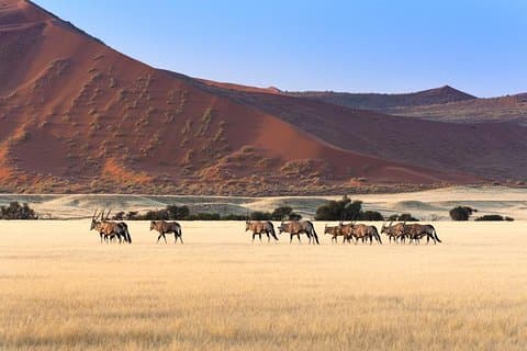 10 Days Namibia key highlights Lodging