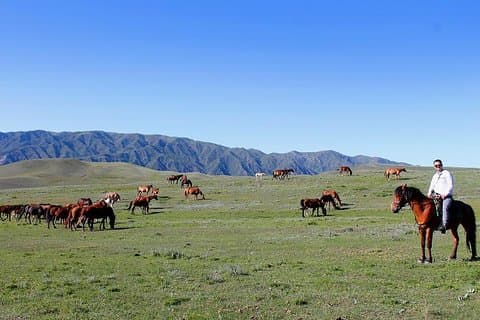 Horse riding adventure in mountains!