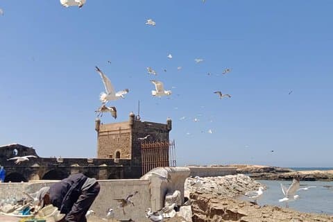 Dagtocht naar Essaouira vanuit Marrakech