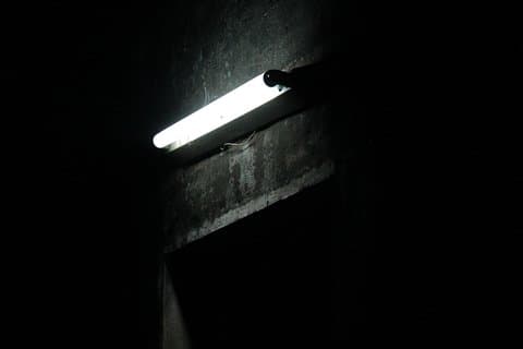 Survival Instinct Escape Game