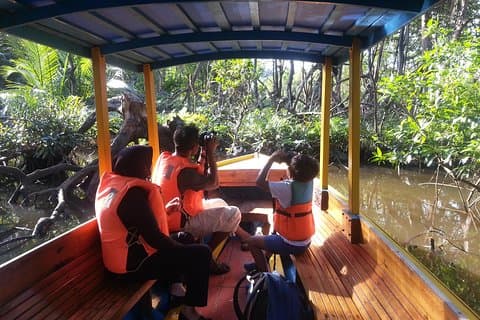Proboscis Monkey Tour (Privat)