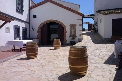 Ruta en bici y comida en restaurante de la bodega