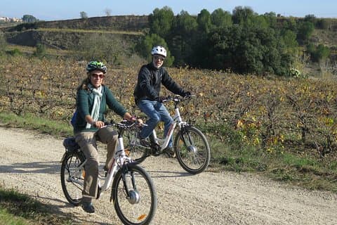 Ruta En Bicicleta Eléctrica Y Cata De Vinos