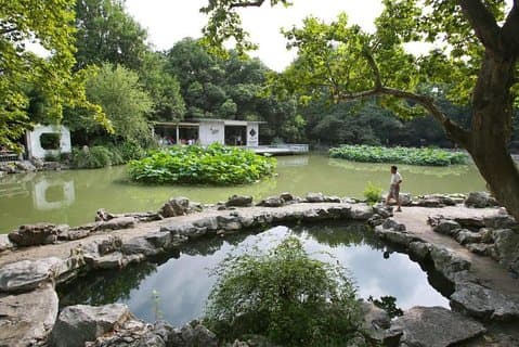Private Full Day Tour: Shanghai Natural Sites and Beauty Tour