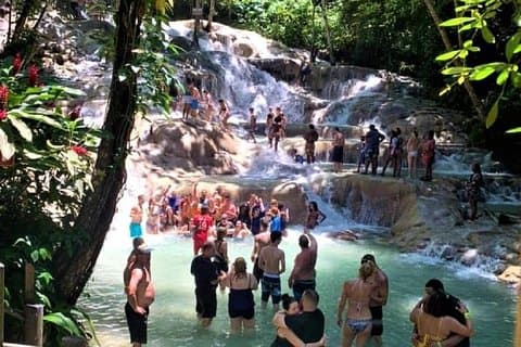 Dunn's River Falls und Fern Gully Highlight Adventure Tour von Runaway Bay