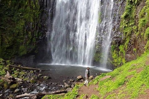 Materuni Wasserfall & Kaffeetour