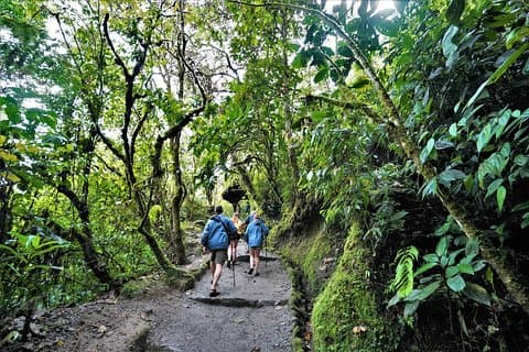 Private Day Tour to Mindo - Waterfalls & Hummingbirds