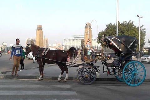 Cairo Privado à Noite E Passeios A Pé No Cairo
