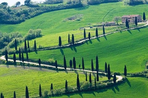 Chianti Hills Tour: Entdecken Sie das Weinherz der Toskana ab Florenz