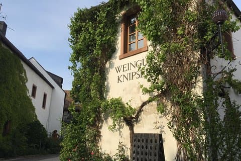 Discover Germanies best Red wines & dry Riesling in the Pfalz