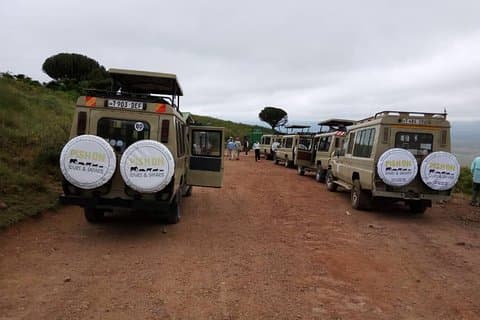 5 Days Wildebeest Migration Safari