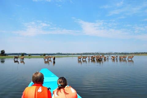 4 Días Especial Lago Naivasha - Safari Masai Mara (mínimo 2 personas)