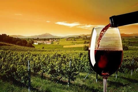 Privat Bekaa Valley vinresa | Ksara, Kefraya och Saint Thomas