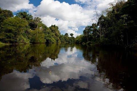 Iquitos-transfer fra krydstogthavn til hoteller