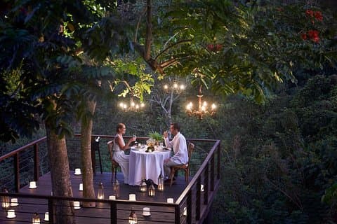 Forêt à manger au pont de l'arbre surplombant la vallée luxuriante d'Ubud