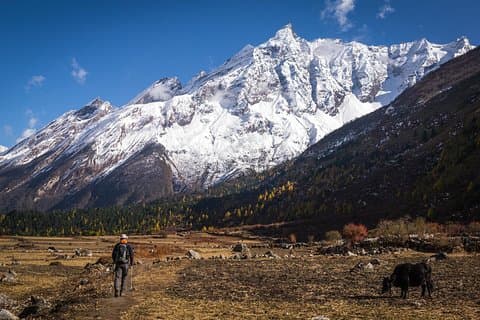 20 dagar Manaslu Rupina La Pass Homestay Trek