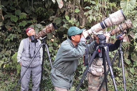 Birding Tour