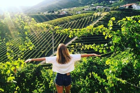 Hoteller i nærheden af Prosecco Hills Wine Tasting Tour