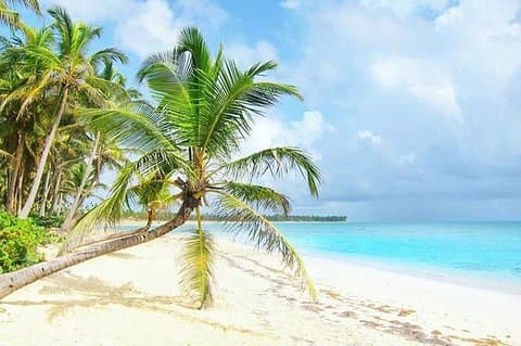 Dreams Macao Beach - Transfer fra Punta Cana Lufthavn