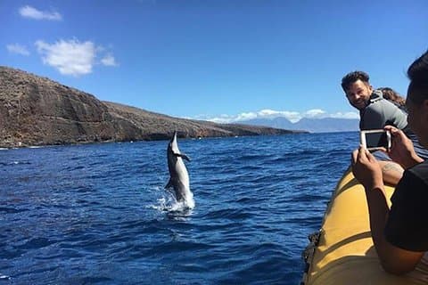 Lanai Deluxe Dolphin Adventure e 3 siti di snorkeling