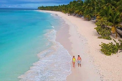 W Punta Cana, Adult - Round Trip Shuttle - Punta Cana Airport