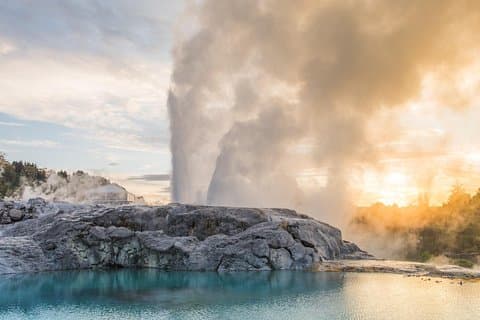 Private Tauranga Day Trip - Te Puia Geysers. A Volcanic Landscape