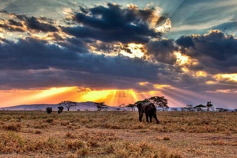 6 giorni / 5 notti Partecipa al safari di gruppo