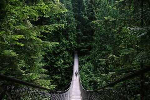 Bergerlebnis (Grouse Mountain und Capilano Suspension Bridge)