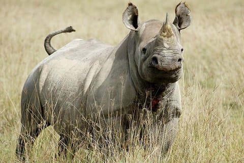 7 Days / 6 Nights Join group Safari