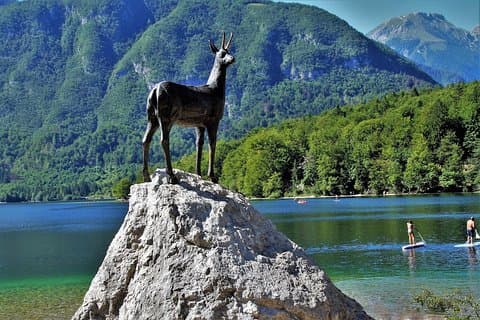 Magia dos Alpes, Triglav NP com o Lago Bohinj e Cachoeira Savica, HD Trip do Ljub