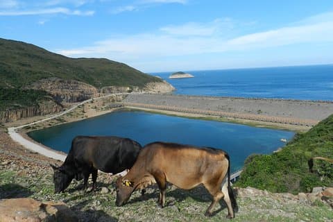 Visite à pied matinale du géoparc de High Island
